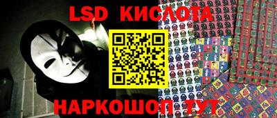 спайс Берёзовский