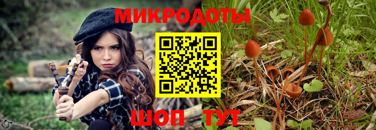 Галлюциногенные грибы Psilocybe Ишим