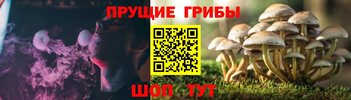 Ишим  Псилоцибиновые грибы MAGIC MUSHROOMS  Вход с VPN 